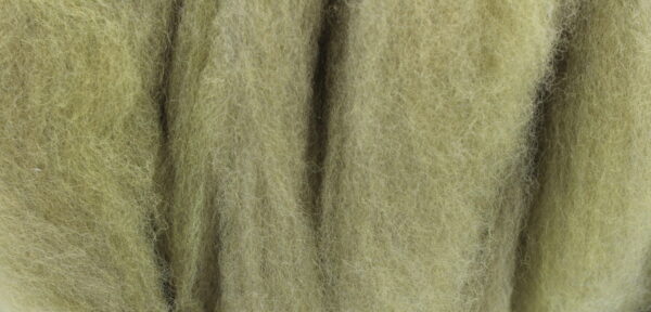 Mossy Green